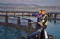 O lado feminino da indústria da pesca e aquacultura
