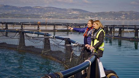 In Europe, less than 25% of aquaculture staff are female. But "Kefalonia Fisheries", one of the leading farmed fish producers in Greece, is almost entirely managed by women.