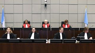 أعضاء المحكمة الدولية
