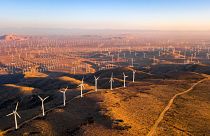 A huge wind farm in the US.