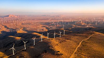 A huge wind farm in the US.