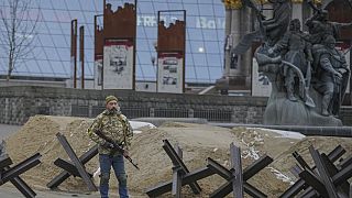 Ukrayna'nın başkenti Kiev'de barikatların önünde nöbet tutan bir asker