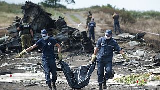 Malezya Havaylları'na ait MH17 sefer sayılı uçak Ukrayna'nın doğusunda Rus yapımı silaharla düşürülmüş, 298 sivil yaşamını yitirmişti