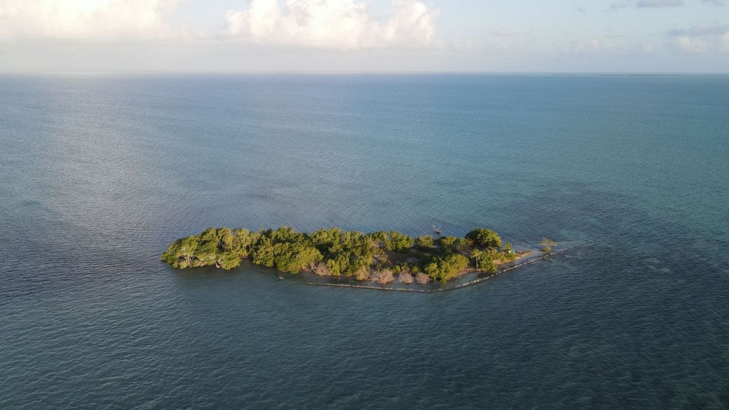 We bought an island How investors took over a plot in the