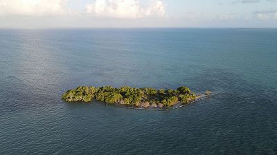 Coffee Caye, off the coast of Belize. Coffee Caye, off the coast of Belize.