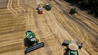 Archive - Des fermiers moissonnent leur blé dans un village près de Tbilisskaya en Russie, le 21 juillet 2021