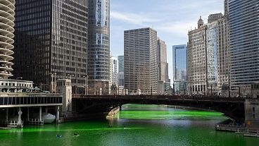 The Chicago river is set to be dyed green on Saturday.