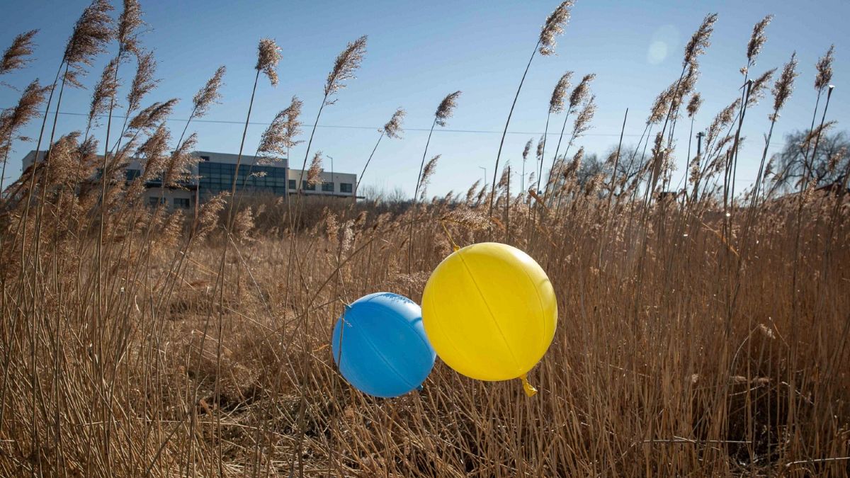 Balloons in colours of Ukrainian flag are placed in a field at the border crossing in Medyka, southeastern Poland, on March 11, 2022. 