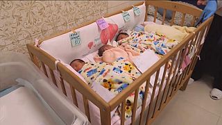Surrogate-born babies stuck in Kyiv