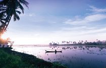 Entdecken Sie die magischen Backwaters von Kerala