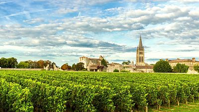 The Eurotunnel is the quickest way to get from England to France's vineyards. The Eurotunnel is the quickest way to get from England to France's vineyards.