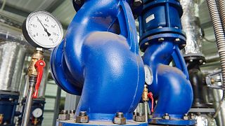 آلمان می‌گوید با قطع انتقال گاز روسیه با مشکل روبرو می‌شود