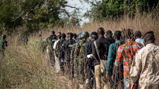 Sénégal : l'opération militaire en Casamance fait plus de 6 000 déplacés