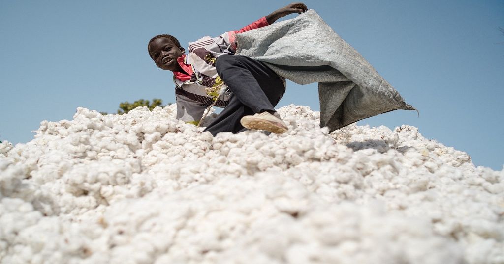Ranked: The World's Top Cotton Producers