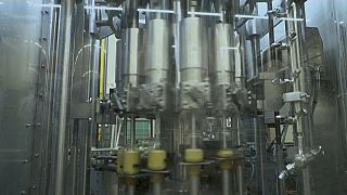 A factory producing Dijon mustard in France. 