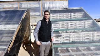 كيفن كلاي ، مواطن أمريكي بدأ نشاطًا تجاريًا في صناعة السكر من التمور ، يقف أمام مخزون من التمور لتجفيفها في مصنعه في مدينة نفطة التونسية، في 12 فبراير 2022.
