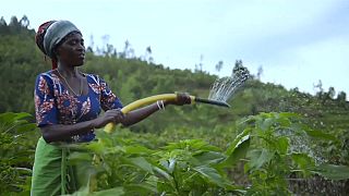 Rwanda : des pompes à énergie solaire pour élargir l'accès à l'eau