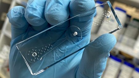 A “worm-on-a-chip” device tracks nematodes’ movements toward odor molecules produced by lung cancer cells.