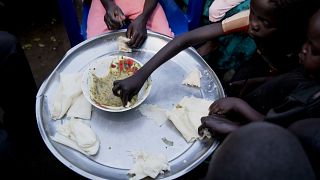 Ukraine war to cause acute food insecurity in Sudan