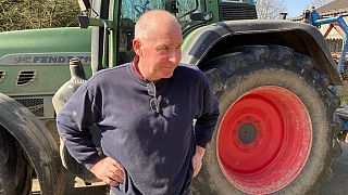 Из-за войны на Украине страдает бельгийская ферма