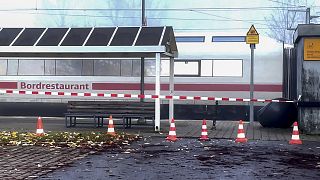 An ICE train stands at the station in Seubersdorf, southern Germany.