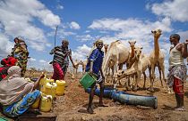 Des éleveurs puisent de l'eau à partir d'un puits près de Kuruti, dans le comté de Garissa, au Kenya, mercredi 27 octobre 2021.