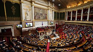 Volodymyr Zelensky face aux parlementaires français, le 23 mars 2022