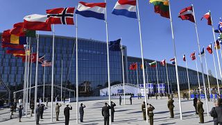 أعلام الدول الأعضاء في الناتو ترفرف في قمة سابقة للناتو في بروكسل، بلجيكا.