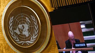 جلسه مجمع عمومی سازمان ملل متحد درباره جنگ اوکراین