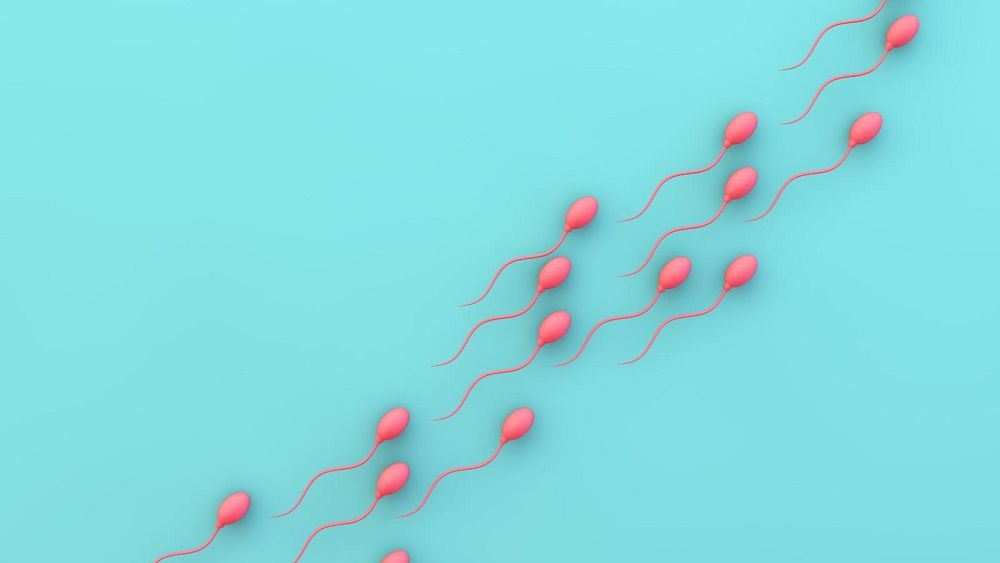 La pillola contraccettiva maschile è efficace al 99% sui topi La sperimentazione umana potrebbe iniziare quest’anno
