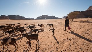 Libya's decade-old conflict impacts mitigations on climate change