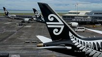 New Zealand's flagship airline plans to start direct flights to New York in September, a route that would take more than 17 hours southbound.