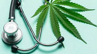 Medizinisches Cannabis hilft nicht bei Ängsten und Depressionen, verdoppelt Suchtgefahr - Studie