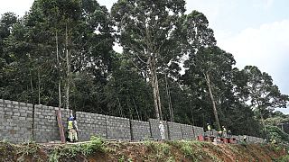 Ivory Coast walls up forest to fend off encroaching city 