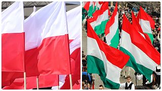 Lengyel és magyar zászlók