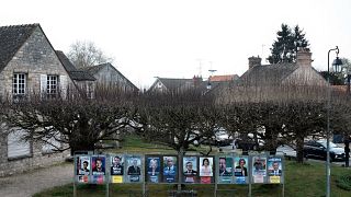 Les douze candidats sur des panneaux électoraux près de Paris (30 mars 2022)