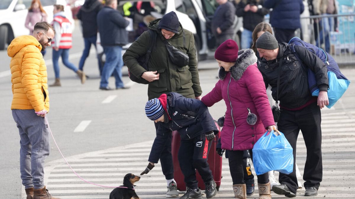 A child fleeing from Ukraine with his family plays with a dog after crossing the border in Vysne Nemecke, Slovakia, Friday, March 4, 2022. 