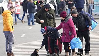A child fleeing from Ukraine with his family plays with a dog after crossing the border in Vysne Nemecke, Slovakia, Friday, March 4, 2022. 