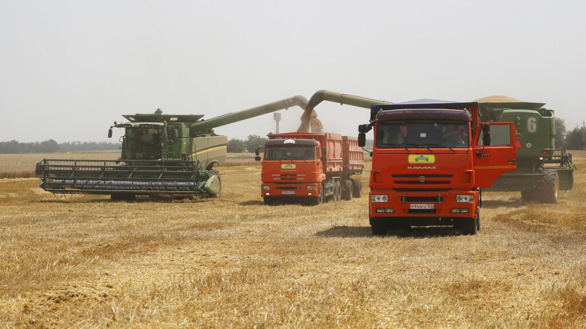 Archives : récolte de blé en Russie - le 21/07/2021