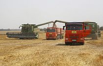 Archives : récolte de blé en Russie - le 21/07/2021
