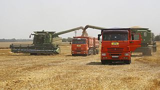 Ucraina, grano come oro. Aumentano i prezzi e i timori sulle esportazioni