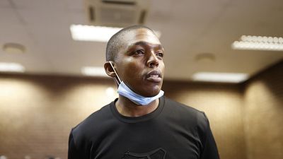 South Africa anti-migrant leader granted bail