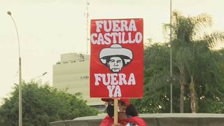 Pancarta de la manifestación del domingo 27 de marzo en Lima por la destitución del presidente Pedro Castillo