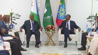 Djibouti President pays state visit to Ethiopia to further deepen ties