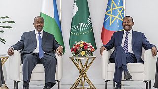 Djibouti et l'Éthiopie renforcent leur coopération économique