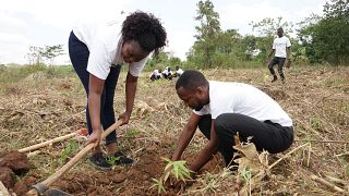 Une Ougandaise produit une énergie alternative à partir de bambou