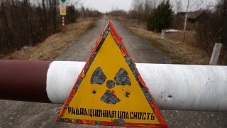 لافتة مكتوب عليها "خطر الإشعاع" في محمية البيئة الإشعاعية الحكومية في قرية بابشين البيلاروسية، قرب منطقة الحظر حول مفاعل تشيرنوبيل النووي، 22 مارس 2011