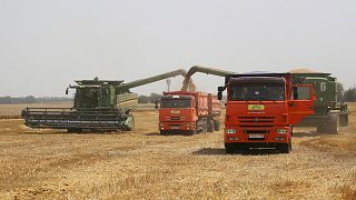 مزارعون أوكرانيون في حقل للقمح