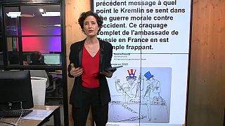 Capture d'écran Anne Devineaux, euronews