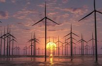 Wind farm appearing over the horizon.